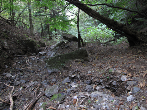 20151021hike (366)